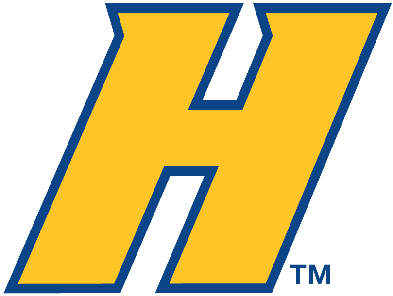 Hofstra Pride 2005-Pres Alternate Logo v2 iron on transfers for clothing